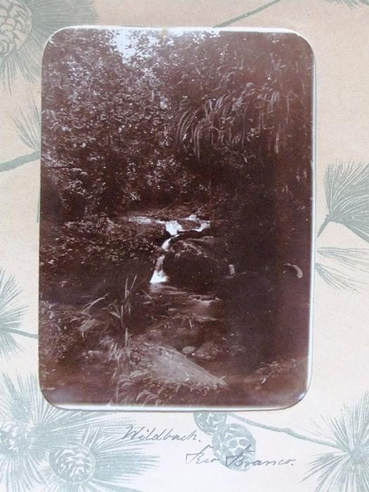 DrRPfeiffer-1899 065